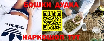 скорость Новодвинск