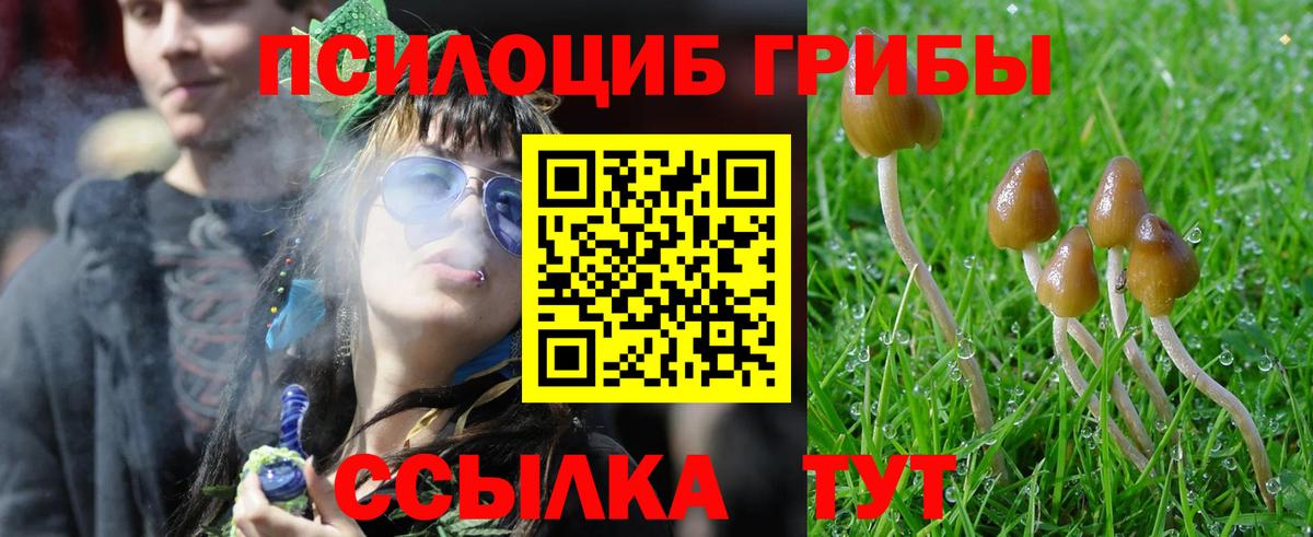 Псилоцибиновые грибы Magic Shrooms  Вход с VPN  Сочи 